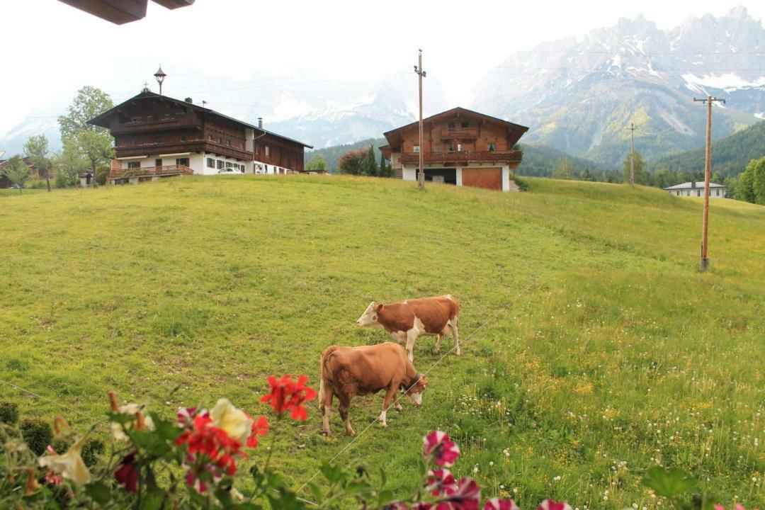 Pension Sunnberg Going am Wilden Kaiser 外观 照片
